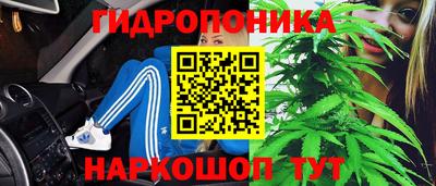спиды Краснознаменск