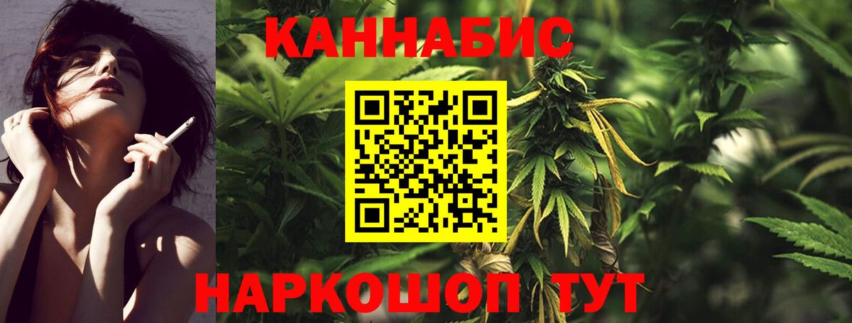 Марихуана сатива Губаха